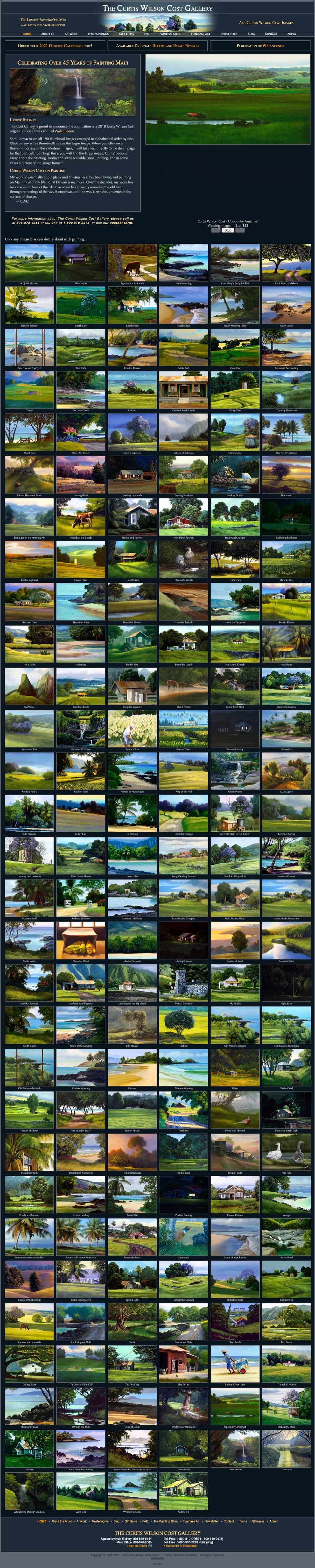 The old costgallery.com home page