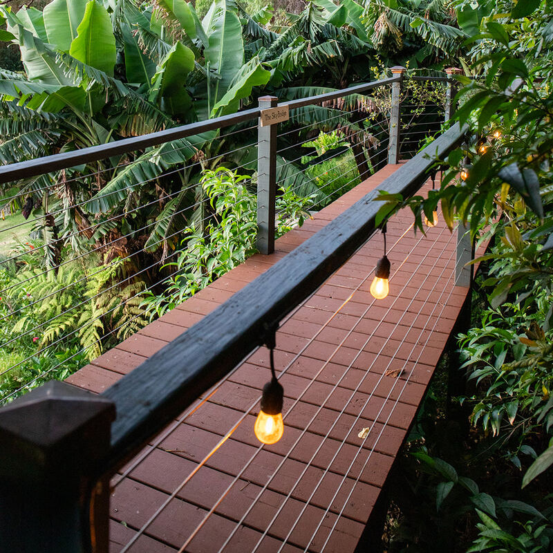 The sky bridge to the gallery