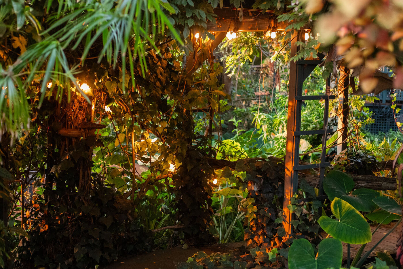 The gallery garden lit up in the evening