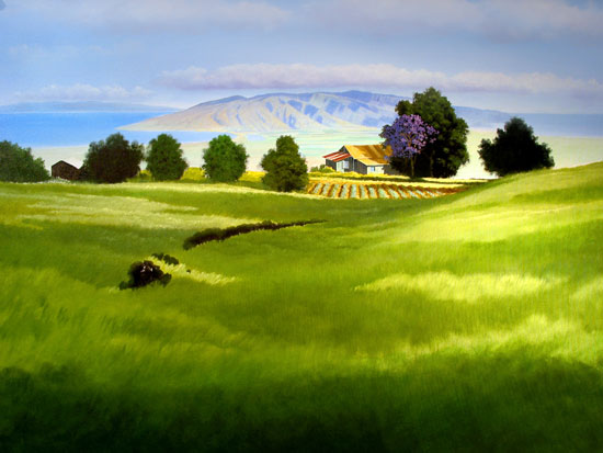The pasture grass being detailed across the hill