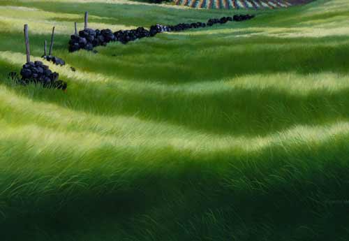 Detail: the foreground pasture