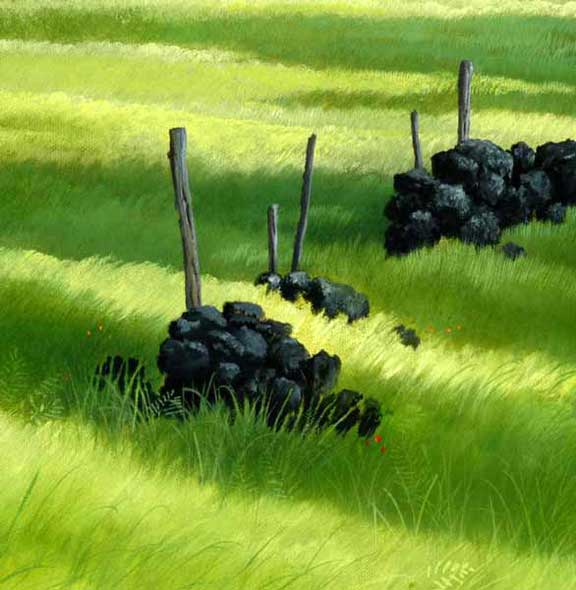 Detail: fence posts and a rock pile