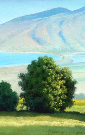 Detail: the avocado tree below the mountains