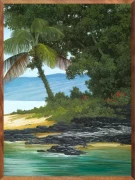 Beach Morning Glory