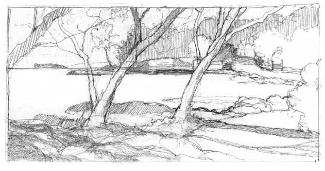 Pencil sketch of kiawe trees with twisting trunks leaning out over the shore