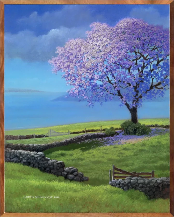 Grandmother Jacaranda