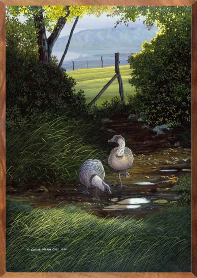 Haleakala Locals, 1-Piece Frame