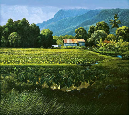 Hanalei Taro