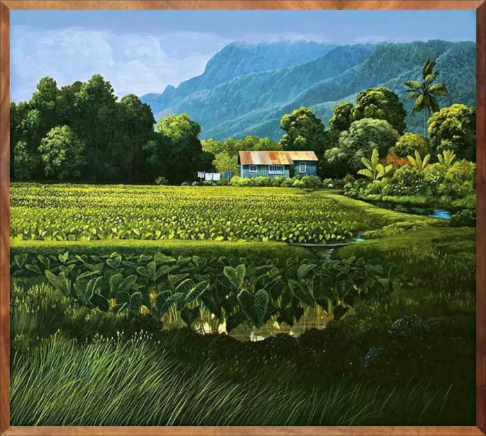 Hanalei Taro