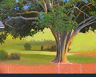 The jacaranda tree being painted, leaves and flowers
