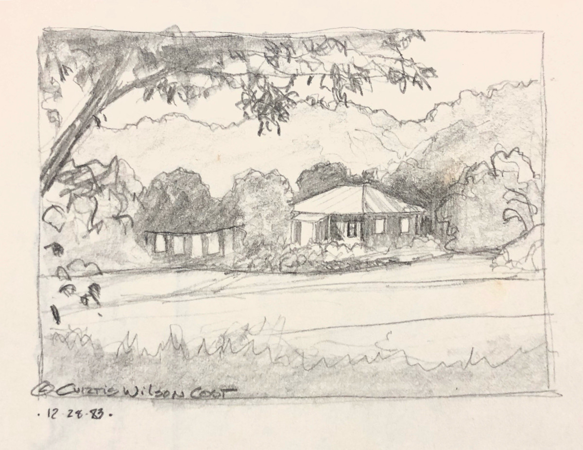 Pencil sketch of the house and the line of washing beside it, under the branches of a tree