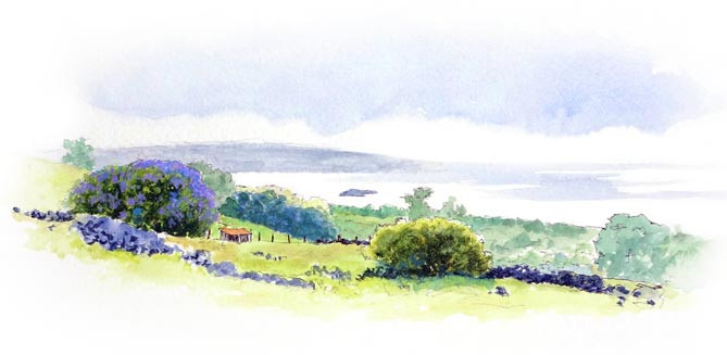 Watercolor study of jacaranda in bloom on green Upcountry pasture, the ocean beyond