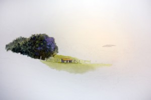 An early stage of Keokea Picnic, with the trees and pasture taking shape