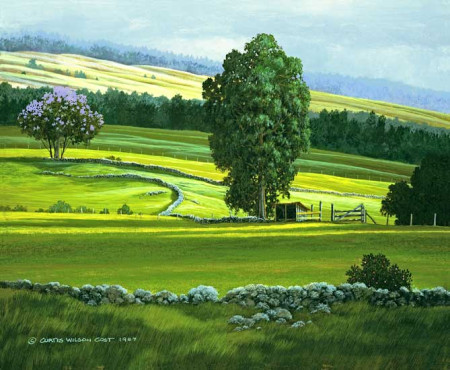 Pasture Shadows