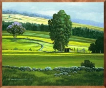 Pasture Shadows