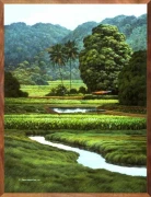 Ponds and Terraces