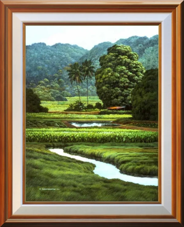 Ponds and Terraces