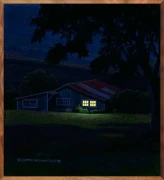 Pualani Evening