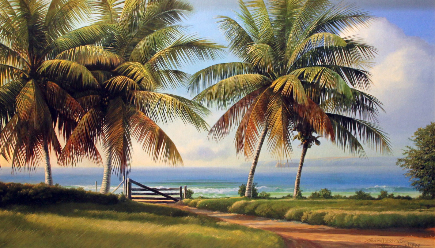 Return to Makena Panorama, Unstretched Canvas