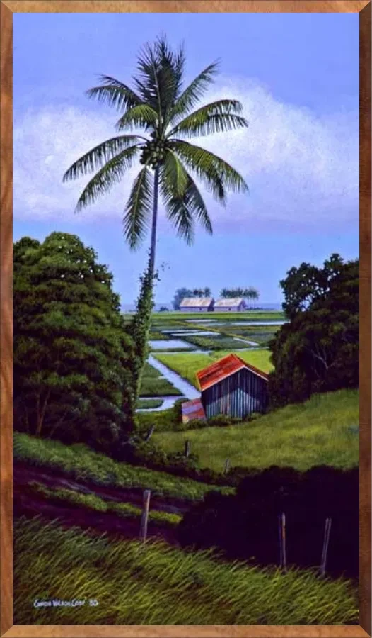 Taro Patch, 1-Piece Frame