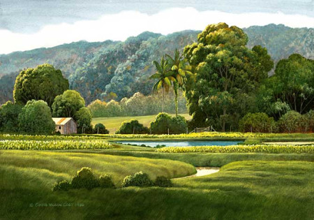 Taro Ponds