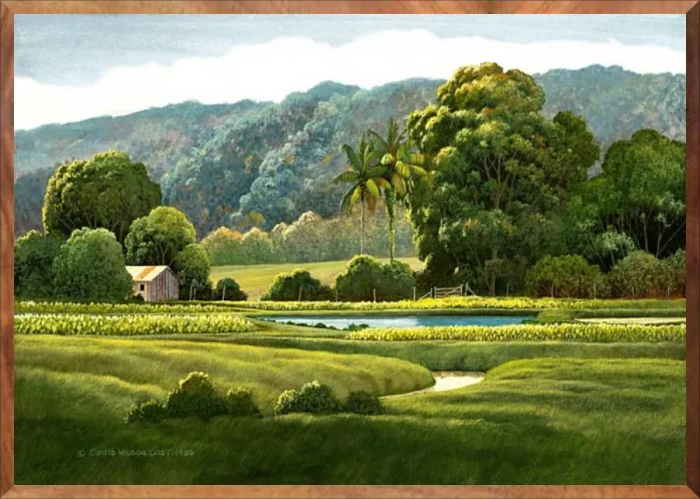 Taro Ponds