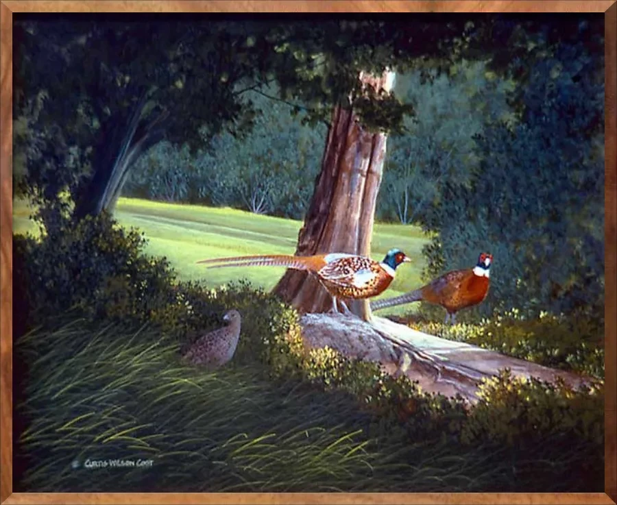 Undercover Pheasants, 1-Piece Frame
