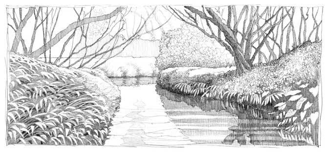 Pencil sketch of a stream running between dense plants under overhanging trees