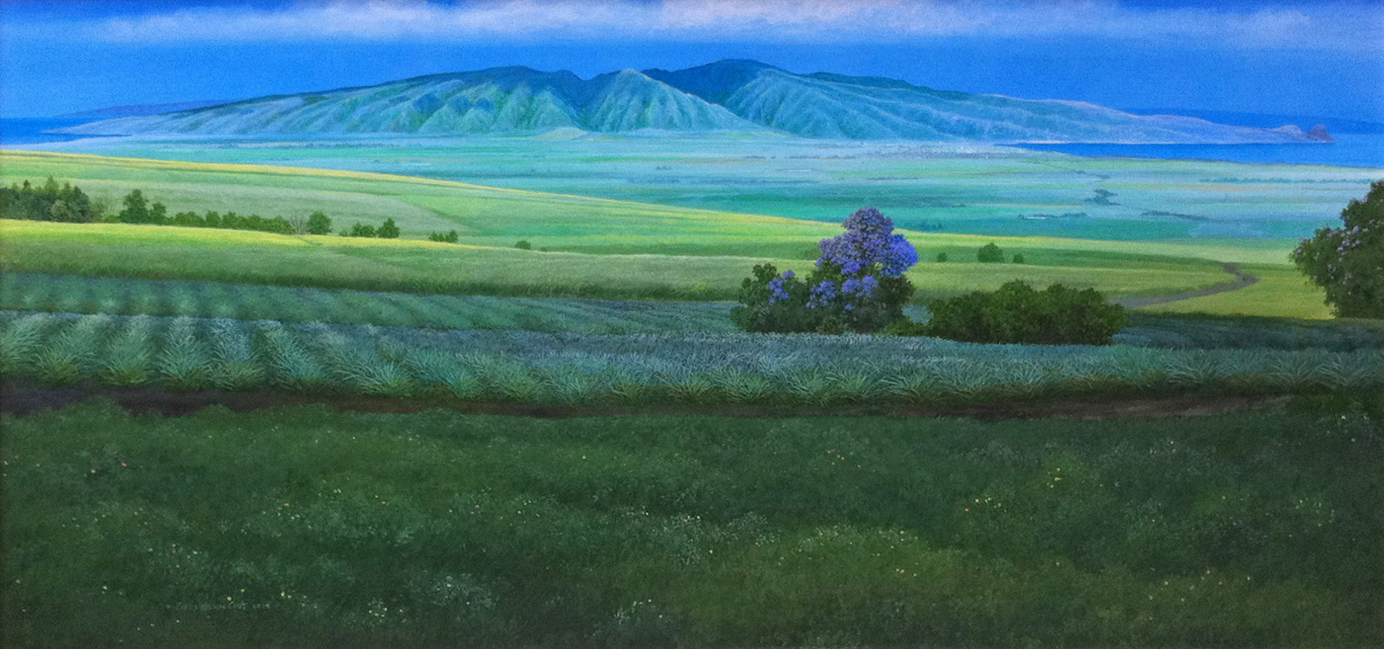 A jacaranda in an upcountry pasture, the West Maui Mountains beyond