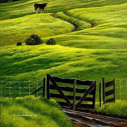 A wooden pasture gate below a cow on the hill, from Dairy Gate
