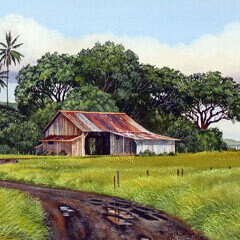 A wooden barn with a rusty tin roof beside a dirt road, from Roadside Relics