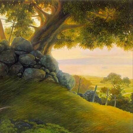 Late sun through a tree beside a stone wall, from Eleven Thousand Acres